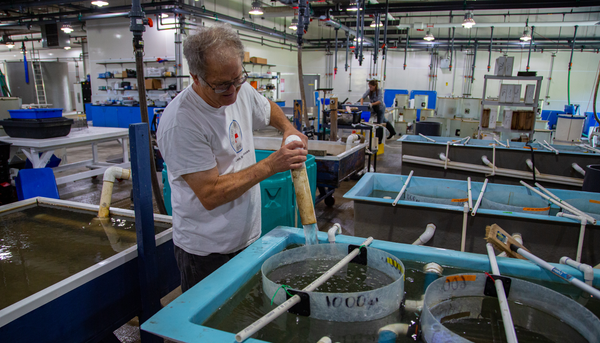 David Jones, Operations Manager at New Jersey Aquaculture Innovation Center