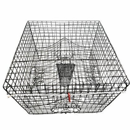 Crab Trap