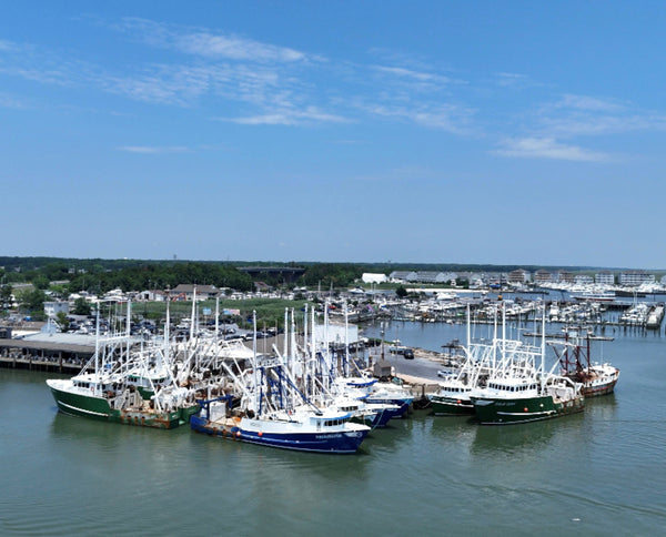 Getting Ready for the Season: Essential Prep for Your Commercial Fishing Vessel