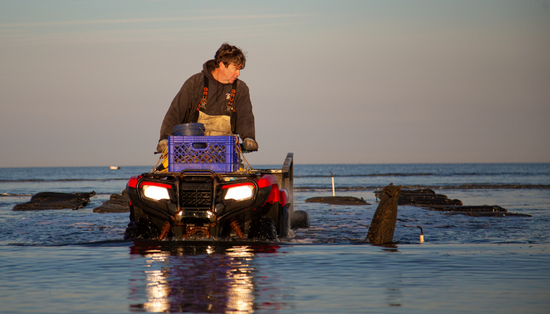Jack Burke - Commercial Fisherman & Oyster Harvester
