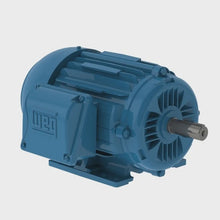 WEG 1HP 4P Fan Motor