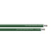 Sea-Dog 8 AWG Green Primary Wire - 25'