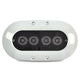 OceanLED X4 Series Underwater Lighting - White Bezel - Colours