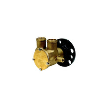 Johnson Bronze Flexible Impeller Pump
