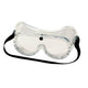 Sea Choice Safety Goggles