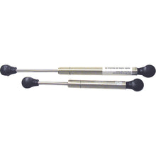 Sierra Stainless Steel Gas Spring