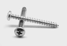316 Stainless Steel Phillip Pan Head Sheet Metal Screw (SMS)