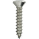 316 Stainless Steel Phillip Oval Head Sheet Metal Screw (SMS)