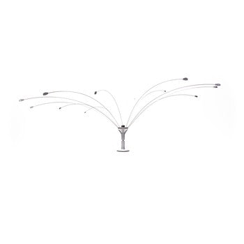 Bbg Bird Spider Spinner