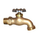 Dixon Bibb Faucet Nozzle MPxGHT