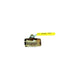Conbraco/Apollo 1-1/4" Ball Valve with SS Lever