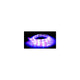 Scandvik LED Dual Color Flex Strip, Red/White 41517P