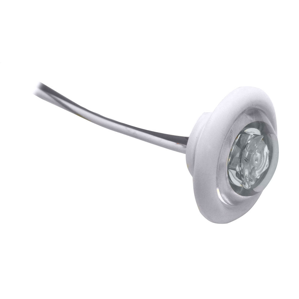 Innovative Lighting LED Bulkhead/Livewell Light "The Shortie" White LED with White Grommet