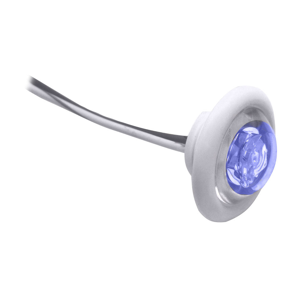 Innovative Lighting LED Bulkhead/Livewell Light "The Shortie" Blue LED with White Grommet