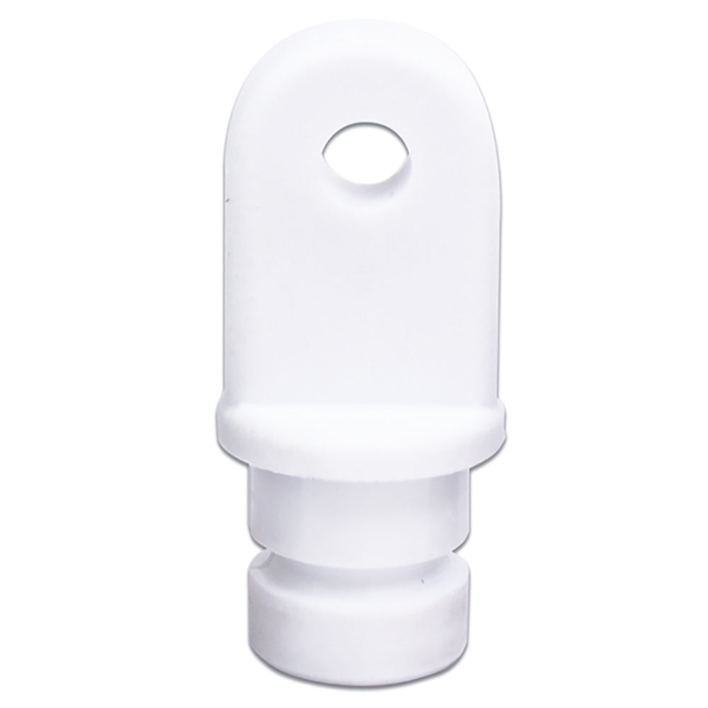 Sea Dog Inside Eye End
