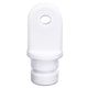 Sea Dog Inside Eye End