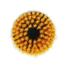 Shurhold 6-½" Medium Brush for Dual Action Polisher