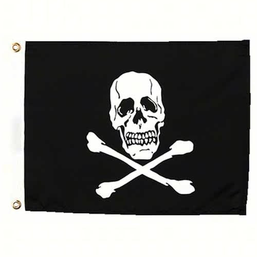 Sea Choice Jolly Roger Flag