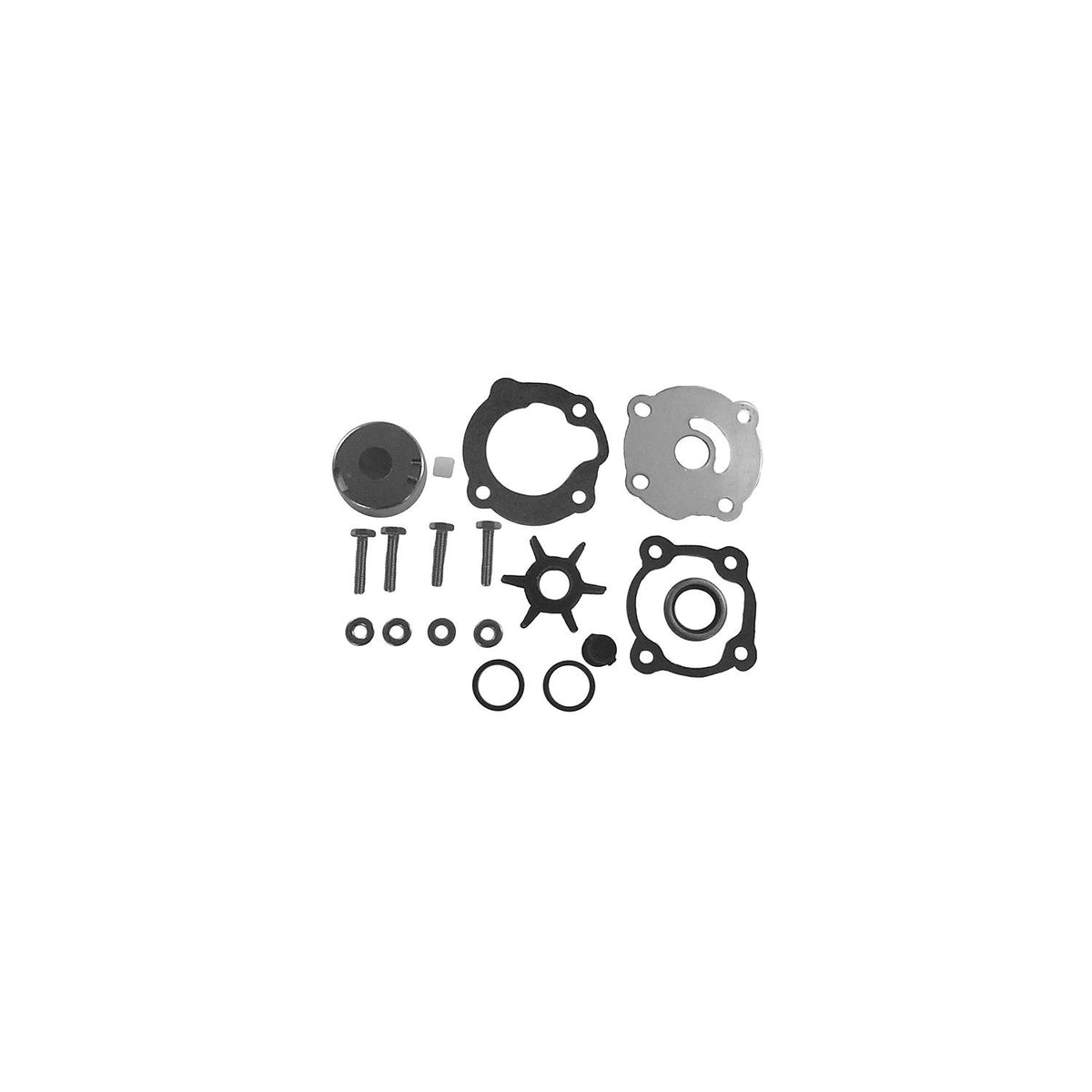 Sierra 395271 OMC Water Pump Kit