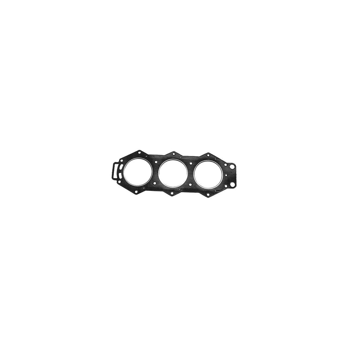 Sierra Head Gasket 18-3894