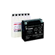 Yuasa Maintenance Free Battery - Fresh Pack