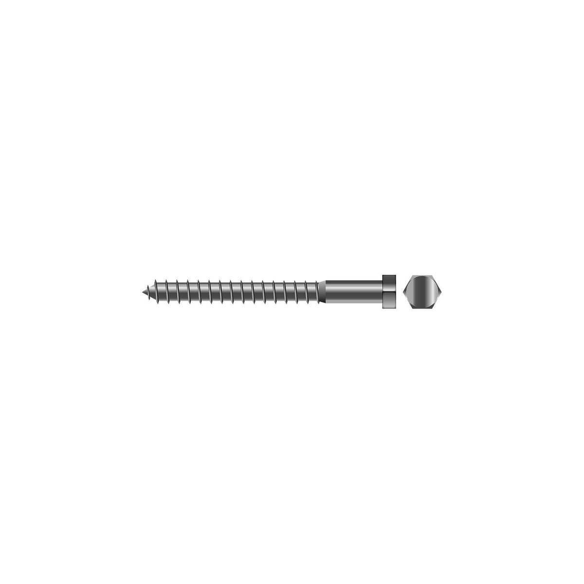 Seachoice 59729 Stainless Steel Lag Screw