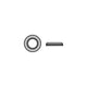 Seachoice Stainless Steel Finish Washer, 1/4"