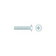 Seachoice Chrome Plated SS Phillips Machine Screws - Truss Head, 1/4-20 x 2"