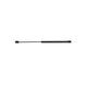 Seachoice Black Gas Spring, 17.2 In. Compressed-10.2 In. Extended, 50 Pounds of Force