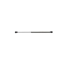 Sea Choice - Stainless Steel Gas Spring