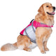 Seachoice Dog Life Jacket, Color: Pink, Size: XL