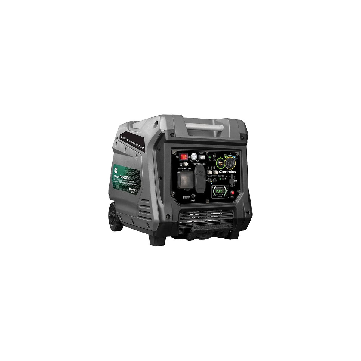 Onan Dual Fuel Portable Generator