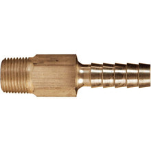 Moeller Bronze Anti-Siphon Valve