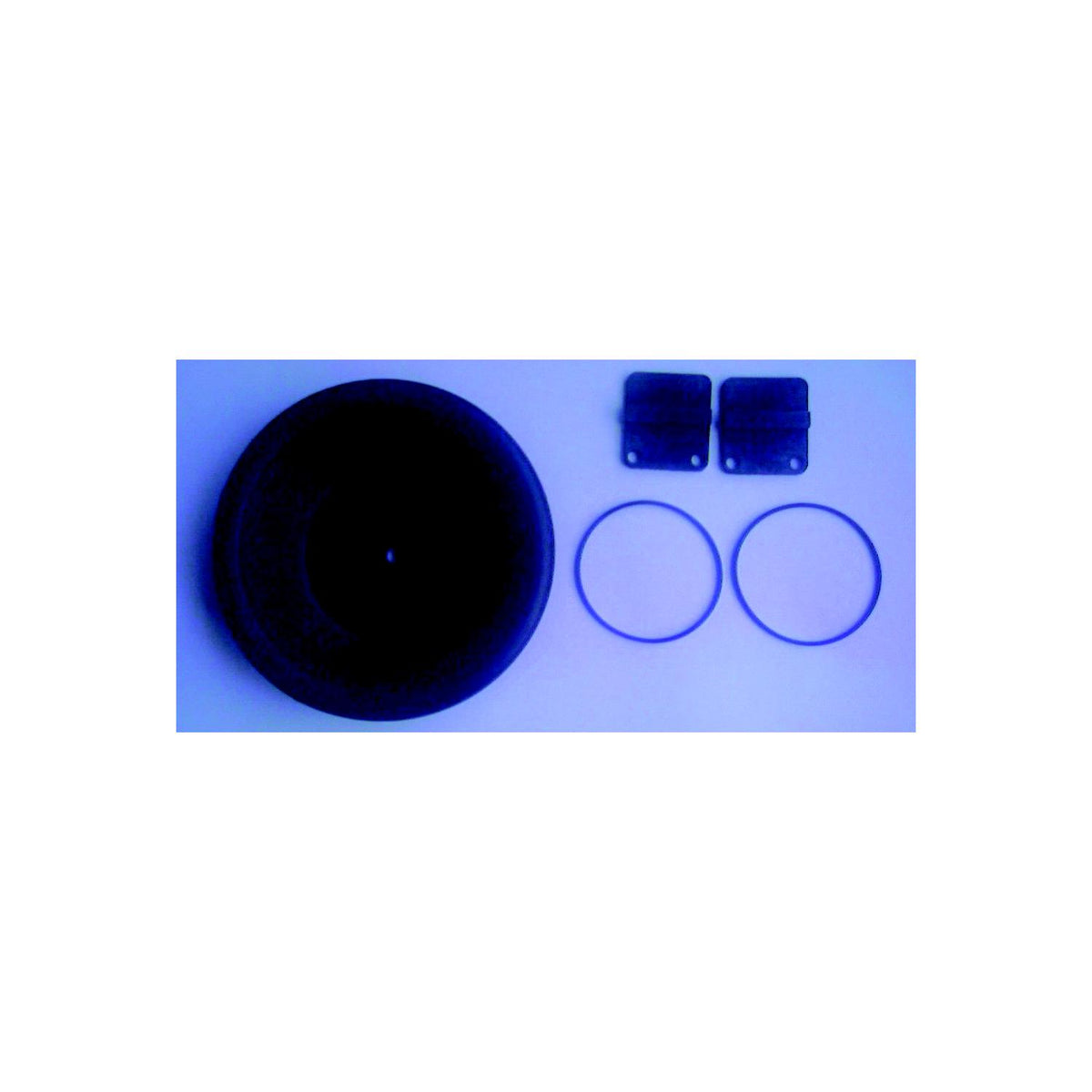 Whale Marine Gusher 8 Service Kit