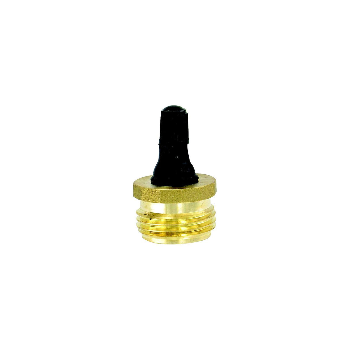 Valterra Blow Out Plug, Brass with Valve