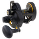 PENN FTH30LD2 Fathom® Lever Drag 2 Speed Conventional Reel
