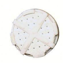 Quicksilver Filter Disc