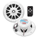 Boss Audio MRGB55W 5.25" Marine Speakers with RGB Lighting - White