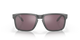 Oakley Holbrook Steel Prizm Daily Polarized