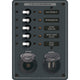 Blue Sea Systems 8120 - 5 Position 12V Panel with Dual USB & 12V Socket