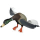 Lucky Duck Air Lucky