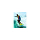 Zup You Got This 260 Multi-Sport Board, Blue