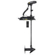 Minn Kota Terrova® 55 Trolling Motor with Wireless Remote - 12V - 55LB - 54"
