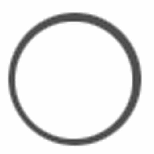 Sierra Water Pump O-Ring