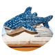 Fahlo Plush P-WSHARK