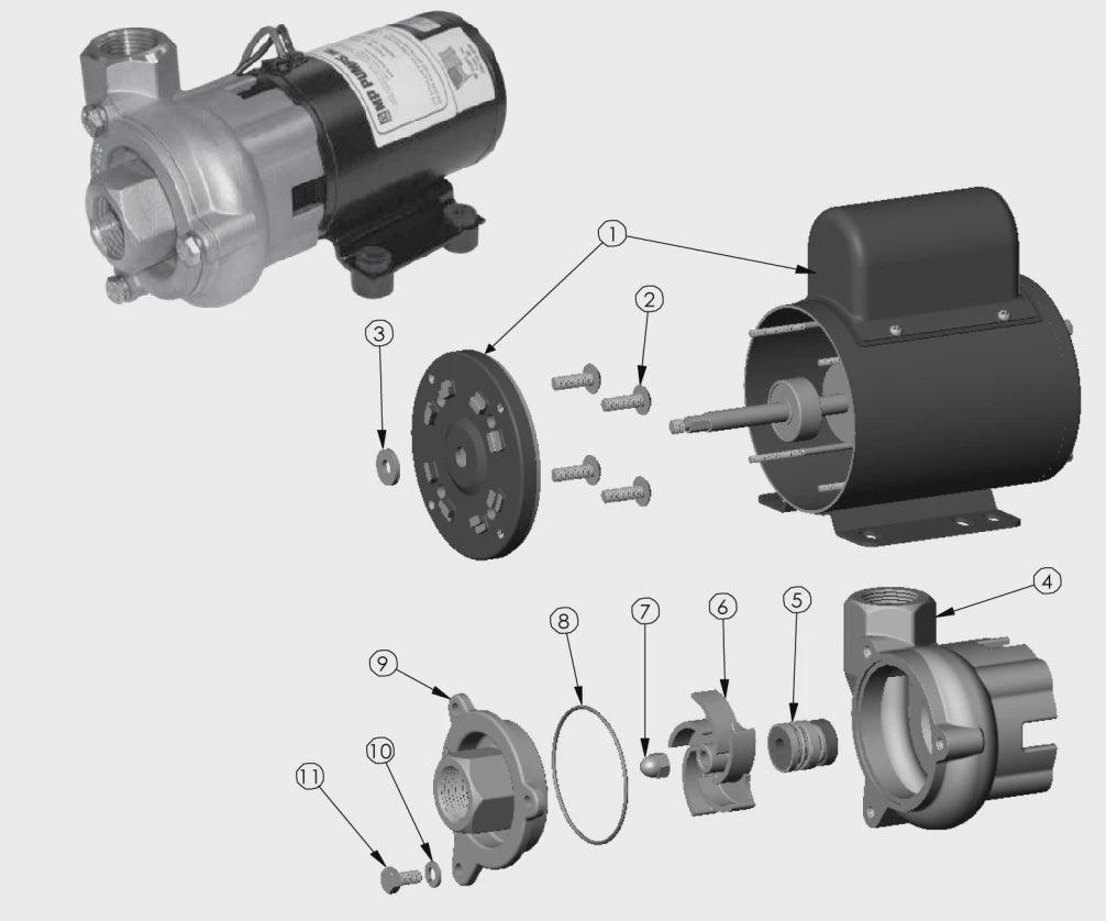 MP Pumps 34038 FRX-75 Seal kit