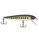 Slick Body Minnow Fishing Lure