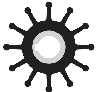 Sherwood Pump Impeller Kit w/Gasket