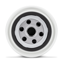 Sierra Fuel Filter 10 Micron