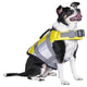 Sea Choice Dog Life Jacket